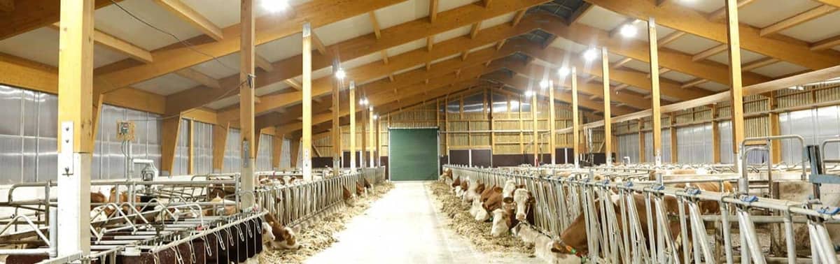 Bâtiments agricoles — réalisation 2
