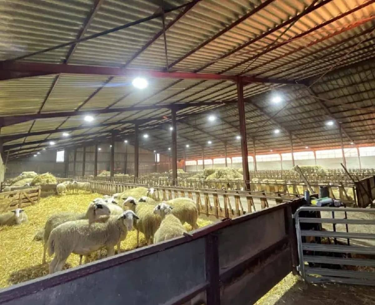 Bâtiments agricoles — réalisation 4